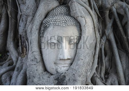 Buddha