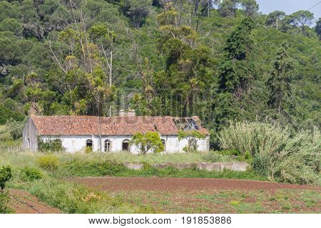 Abandoned Farm House And Plantation In Santiago Do Cacem