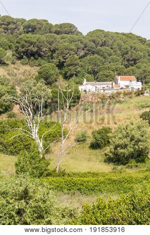Farm House In Santiago Do Cacem