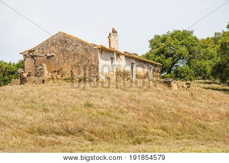 Abandoned Farm House And Plantation In Santiago Do Cacem