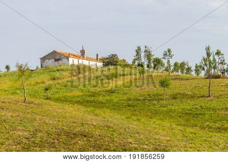 House Farm In Santiago Do Cacem