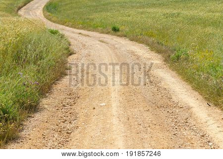 Farm Road In Vale Seco, Santiago Do Cacem