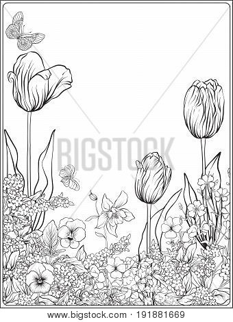 Composition with spring flowers: tulips, daffodils, violets, forget-me-nots in botanical style. Stock line vector illustration. Outline hand drawing coloring page for adult coloring book.
