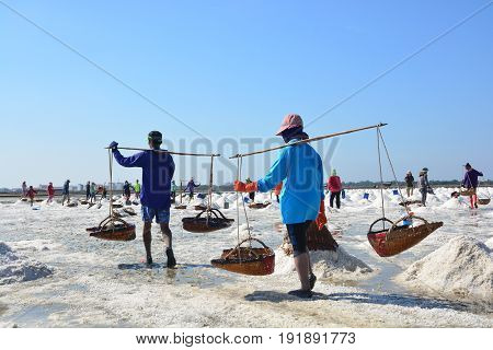 Worker shoveling salt at salt pan at Thailand The making of sea salt in the field at Phetchaburi Province Thailand