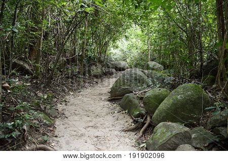 nature walkway in Khao Chamao , Rayong , Thailand