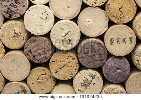 Close up shot of dated wine bottle corks