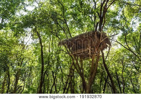 Typical house of vedda people living in Sri Lanka