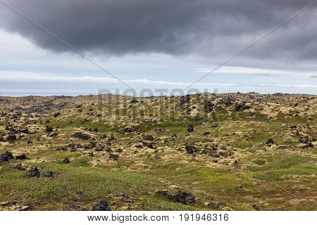 Green Icelandic Lndscape On A Cloudy Day. Beautiful Scenery With Green Icelandic Thick Moss And Gras
