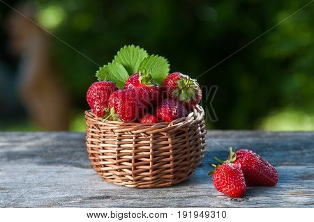 Juicy strawberries in a wicker basket wooden table against the backdrop of a beautiful background green garden. Cooking food industry restaurant business gardening proper nutrition