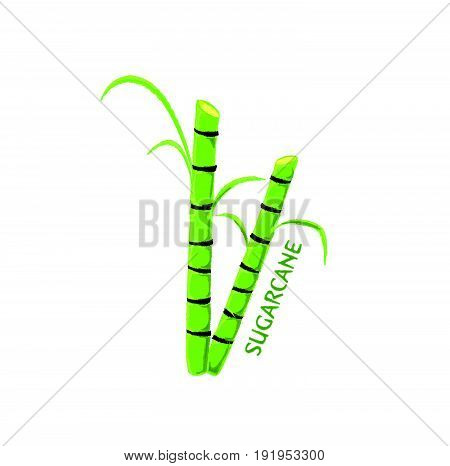 Logo Icon Design Sugarcane Farm Design Creative