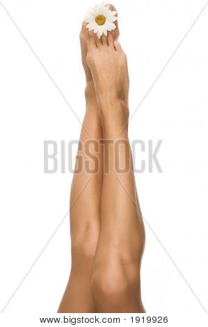 Legs2