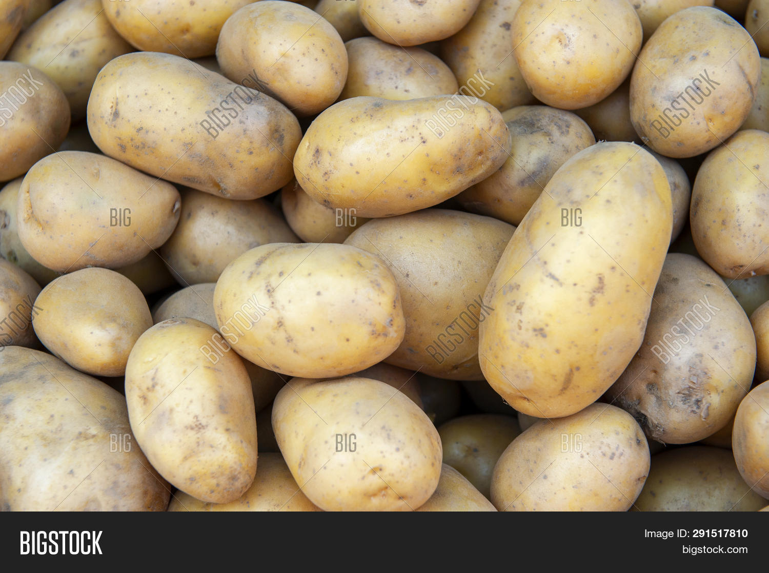 Fresh Organic Potato Image & Photo (Free Trial) Bigstock