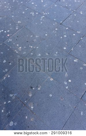 Kaugummireste Auf Asphalt In Köln 1 - 19.3.2019