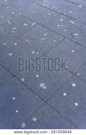 Kaugummireste Auf Asphalt In Köln 3 - 19.3.2019