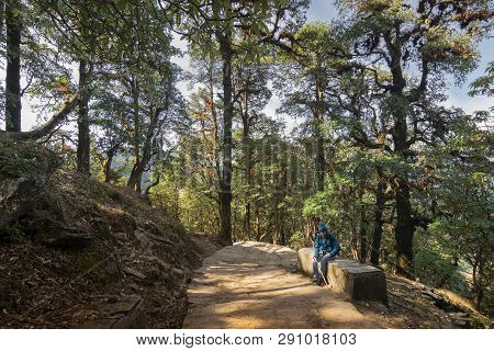 Tunganath, Rudraprayag, Uttarakhand, India - November 1st 2018 : Female Tourist Resting On Her Hikin