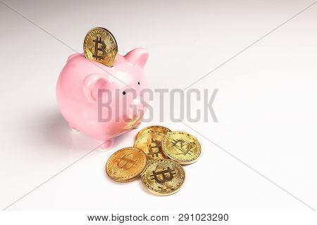 Putting Bitcoin To Piggy Bank, New Virtual Electronic And Digital Money, Hodl Investment Concept