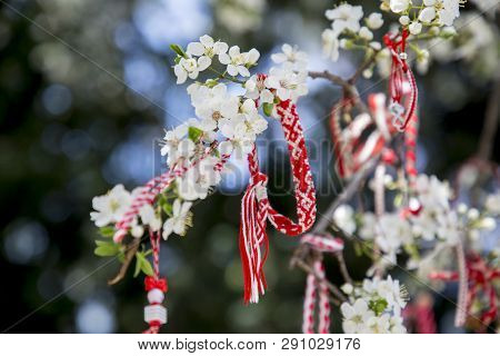 Martenitsa Traditionally For Bulgarians Is Attached To A Blooming Orchard.