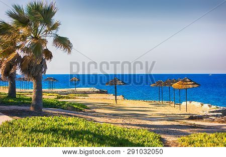 Strawy Beach Umbrellas On Beach With Sand And Palm Tree.