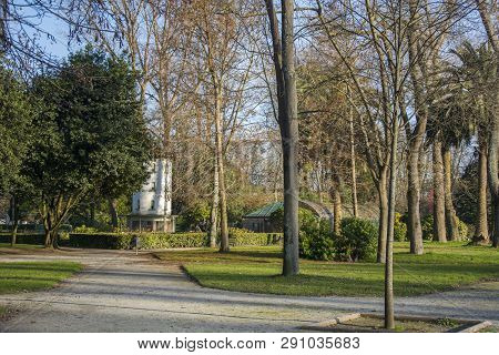 Park Detail With Several Trres, Green Grass And Sunlight