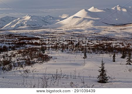Landscape Of White Hills In Tombstone National Park In Yukon Territory