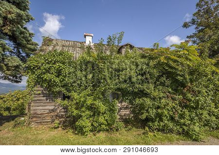 Russia, Krasnodar Territory, Dagomys, Village Uch-dere. Wooden Farm Buildings On The Plantation Of T