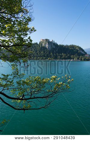 Colorful Summer Scene In The Park Of Bled Town With Medieval Castle Blejski Grad. Morning In Julian 