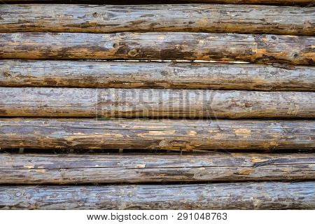 Background And Texture Of Wooden Logs, Processed Tree Trunks