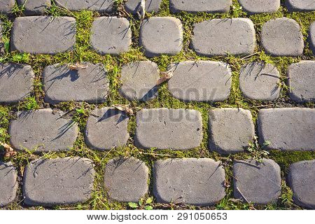 Gray Paving Stones In The Park Close Up, Paving Stones Overgrown With Grass
