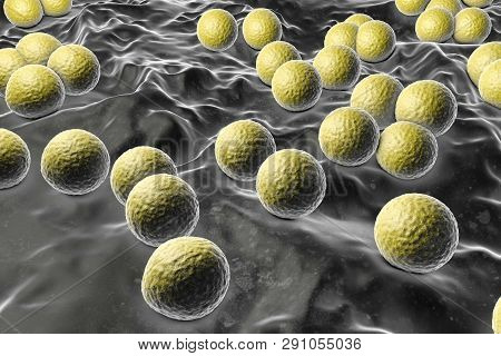 Bacteria Micrococcus Luteus, 3d Illustration. Gram-positive Cocci Arranged In Tetrads Or Irregular C