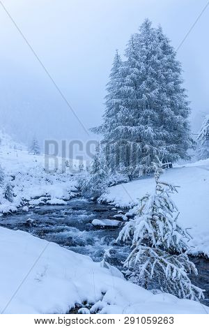 Mountain Stream In The Snow