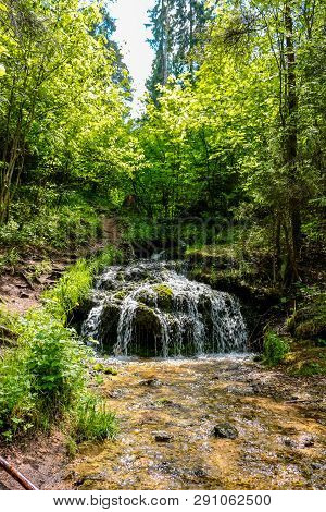 Forest Stream 