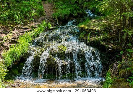Forest Stream 