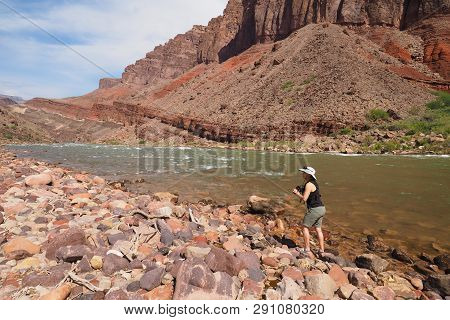 Woman Photographing The Colorado River And The Inner Canyon At Hance Rapids In Grand Canyon National