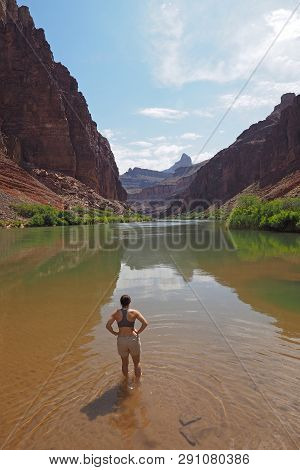 Young Woman Wading In A Calm Section Of The Colorado River Above Hance Rapids In Early Morning In Gr