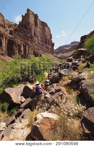 Hikers On A Trail Bordering The Colorado River Above Hance Rapids In Grand Canyon National Park, Ari