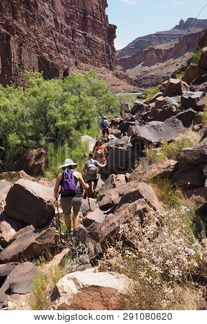 Hikers On A Trail Bordering The Colorado River Above Hance Rapids In Grand Canyon National Park, Ari