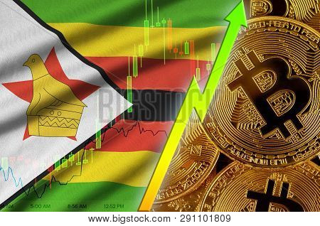 Zimbabwe Flag And Cryptocurrency Growing Trend With Many Golden Bitcoins