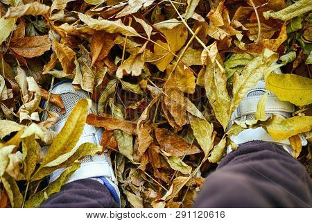 Child Feet In Snickers Standing On Yellow Autumn Leaves.