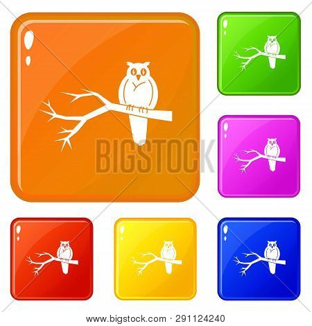 Owl On Tree Icons Set Collection Vector 6 Color Isolated On White Background