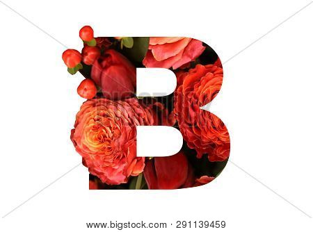 Floral font letter B from a real red-orange roses for bright design. Stylish font of flowers for conceptual ideas.