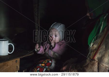 Nadym, Russia - August 27, 2018:tundra, The Extreme North, Yamal, The Pasture Of Nenets People, The