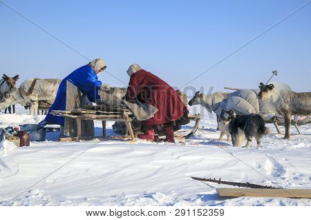 Nadym, Russia - April 27, 2018: Tundra, Open Area, Assistant Reindeer Breeder,  The Women  In Nation
