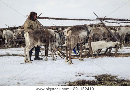 Nadym, Russia - April 27, 2018: Tundra, Open Area, Assistant Reindeer Breeder,  The Women  In Nation