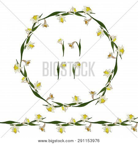 Set With White Daffodils. Round Frame, Endless Horizontal Border And Elements On White Background. R