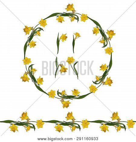 Set With Yellow Daffodils. Round Frame, Endless Horizontal Border And Elements On White Background. 