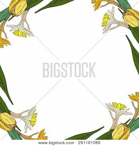 Decorative Season Floral Frame With Yellow Tulips And Daffodils For Your Season Design