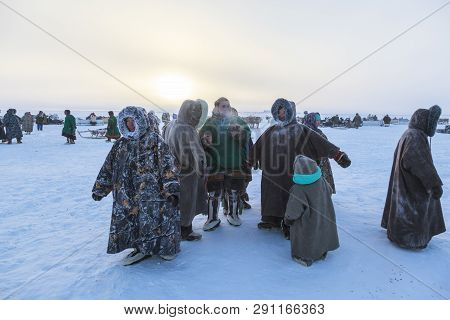 Nadym, Russia - February 23, 2019: Yamal, Open Area, Tundra,the Extreme North,  Races On Reindeer Sl