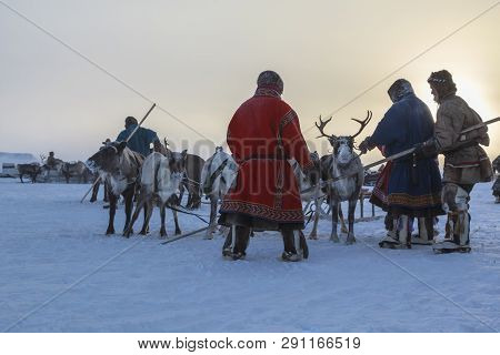 Nadym, Russia - February 23, 2019: Yamal, Open Area, Tundra,the Extreme North,  Races On Reindeer Sl