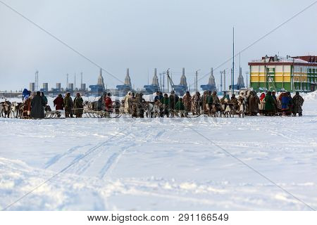 Nadym, Russia - February 23, 2019: Yamal, Open Area, Tundra,the Extreme North,  Races On Reindeer Sl