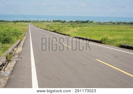 road at green paddy farm in the countryside